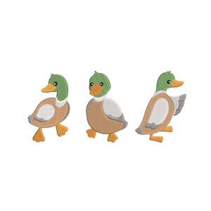 May include: Three cartoon ducks with green heads, orange beaks, and brown bodies. The ducks are walking in a row.