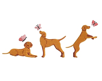 Disegno per ricamo di un cane Vizsla marrone, schema per ricamo a macchina di un trio di cuccioli di Pointer ungherese, file digitali scaricabili di un Vizsla che insegue una farfalla