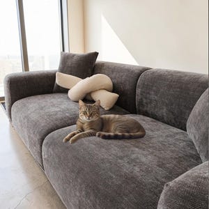 May include: A gray sofa with a patterned texture, featuring a tabby cat lying on it. Decorative pillows in dark gray and cream colors are arranged on the sofa. The room has a large window and neutral-toned walls.