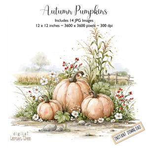 May include: A digital illustration titled Autumn Pumpkins featuring three pale orange pumpkins surrounded by white flowers, red berries, and tall stalks. The text reads Autumn Pumpkins, Includes 14 JPG Images, 12 x 12 inches, 3600 x 3600 pixels, 300 dpi, and Instant Download.