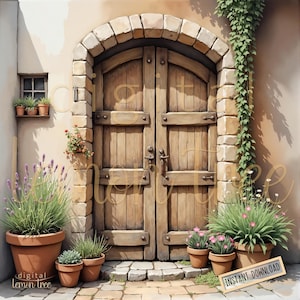 Puede incluir: Una puerta de madera rústica con un arco de piedra y hiedra creciendo en el lateral. Hay plantas en macetas con flores delante de la puerta y un camino de piedra que conduce a ella.