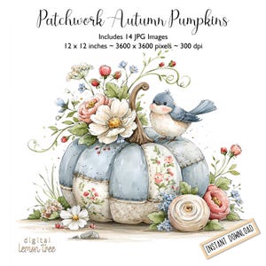 以下が含まれることがあります： Patchwork Autumn Pumpkinsと題されたデジタルイラストで、花と小さな青い鳥で飾られた青と白のパッチワークカボチャが描かれています。テキストには、14枚のJPG画像、30.48 x 30.48 cm、3600 x 3600ピクセル、300 dpi、INSTANT DOWNLOADが含まれています。