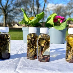 May include: Six clear glass bottles with white lids filled with a light yellow liquid and small brown seeds. The bottles are arranged in a row on a white surface.