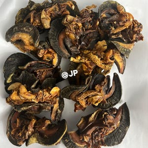 Puede incluir: Primer plano de un montón de caracoles marinos secos, de color marrón oscuro y negro. Los caracoles están dispuestos en un patrón aleatorio y tienen una superficie ligeramente brillante.