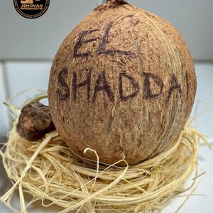 May include: A brown coconut with the words "EL SHADDAI" written on it in dark ink. The coconut rests on a bed of light brown straw. A small, dark brown object is next to the coconut. The image includes a circular logo with the text "JEHOVAH PRODUCTS".