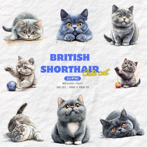 Carte de voeux d'anniversaire de chat British Shorthair pour les amoureux des chats, tasse à café, sweat-shirt, cadeau, téléchargement numérique, 24PNG