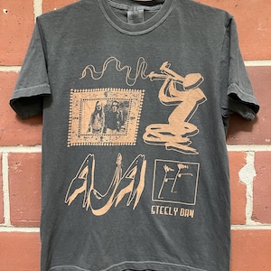 Steely Dan fan art shirt