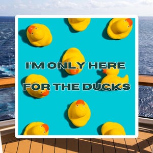 Funny Cruise Door Magnet, Cruise Ducks Magnet, Magnet for Cruise Cabin Door, Cruise Accessories, 2025 Cruise Must Haves, 2025 Family Cruise