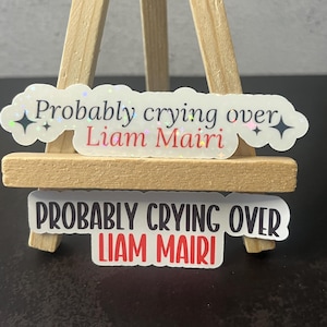 Fourth Wing Fans -  "Probably Crying Over Liam Mairi" Matte & Holographic Stickers