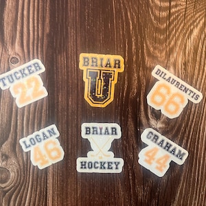 May include: Six yellow and white stickers with black text and graphics. The stickers feature names and numbers, including "Tucker 22", "Logan 46", "Graham 44", "Briar U", "Briar Hockey", and "Dilaurentis 66".