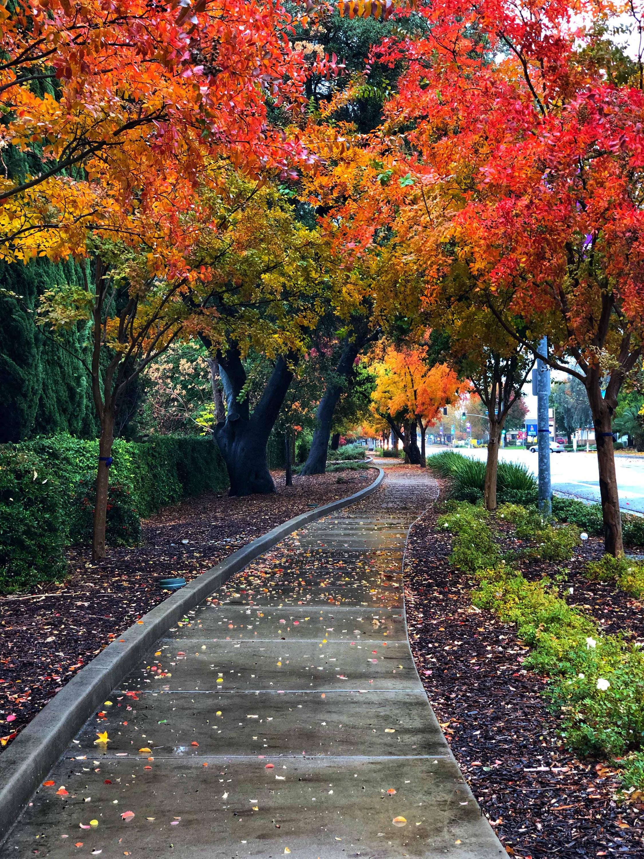 Coloma Road