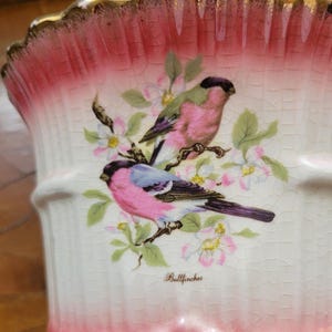 Hand Painted Bullfinch Earthenware Footed Jardiniere | KH Pottery, Staffordshire England C1900