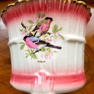 Edwardian Orangery Cache Pot - Hand Painted Bullfinch Birds Earthenware  - KH Pottery, Staffordshire C1900