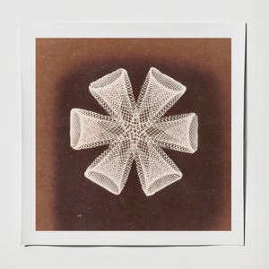 Pode incluir: Uma obra de arte tecida branca em forma de estrela com seis pontas simétricas. A obra de arte está sobre um fundo castanho escuro, criando um contraste marcante. A peça é montada sobre um quadrado branco.