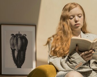 May include: A framed black and white botanical print of a flower with spiky edges. A person with long red hair is reading a book while wearing a striped blazer. The person is sitting in a yellow chair.