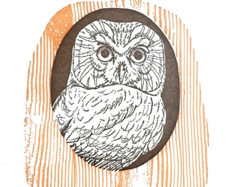 Owl Card, Owl Greeting Cards, Letterpress Card, Owl Note card, Nature Card, Bird Card, Woodland Card, Handmade Cards, Bird Lover Card