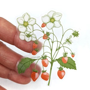 Erdbeeren Aufkleber, Sommerbeeren, durchsichtiger Obstaufkleber, 3-Zoll-Aufkleber, Wasserflaschenaufkleber, Geburtstagsgeschenke, Aufklebersammler