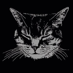 Cat Shirt, Kids Cat shirt, Black Cat t-shirt, Cat Lover gift, Meow Kitty Cat Clothing, Cat tee, Children's Cat Shirt, Kitty Kitten Shirt image 2