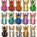 Rainbow Slingshot main image 1