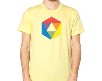 Color Wheel Tshirt, Rainbow Shirt, Mens Rainbow Shirt, Geometric Rainbow, love wins, t shirts, colorful tshirt, original Little Lark design