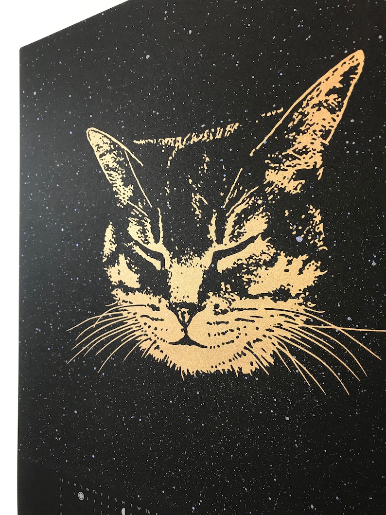 Cat Calendar Space Cat Wall Calendar 2022 Moon Calendar Etsy