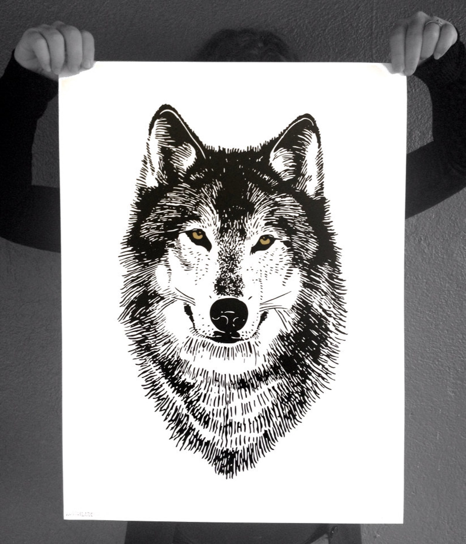 wolf express printing wolf express printing