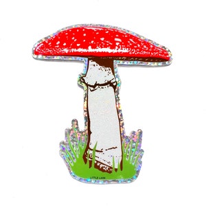 Sticker champignon rouge pailleté, autocollant en vinyle de 3 pouces, autocollant champignon champignon vénéneux, Amanita Muscaria, cadeaux d'anniversaire, collectionneur d'autocollants