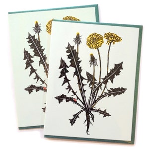 Cartões de flores de dente de leão, cartões em branco de flores silvestres, cartões de notas da natureza, cartões de flores selvagens, arte de flores botânicas, cartão de flores simples