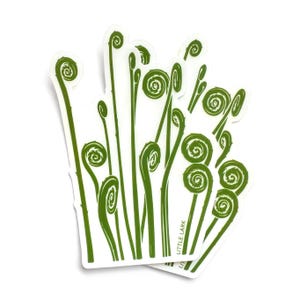 Farn Geigenkopf Klar-Vinyl-Aufkleber, wasserdichter Aufkleber gut für Wasserflaschen, Gartenliebhaber, Geburtstagsgeschenke, Aufklebersammler