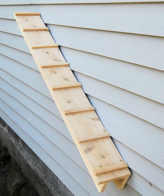 Cat ramps for walls sales