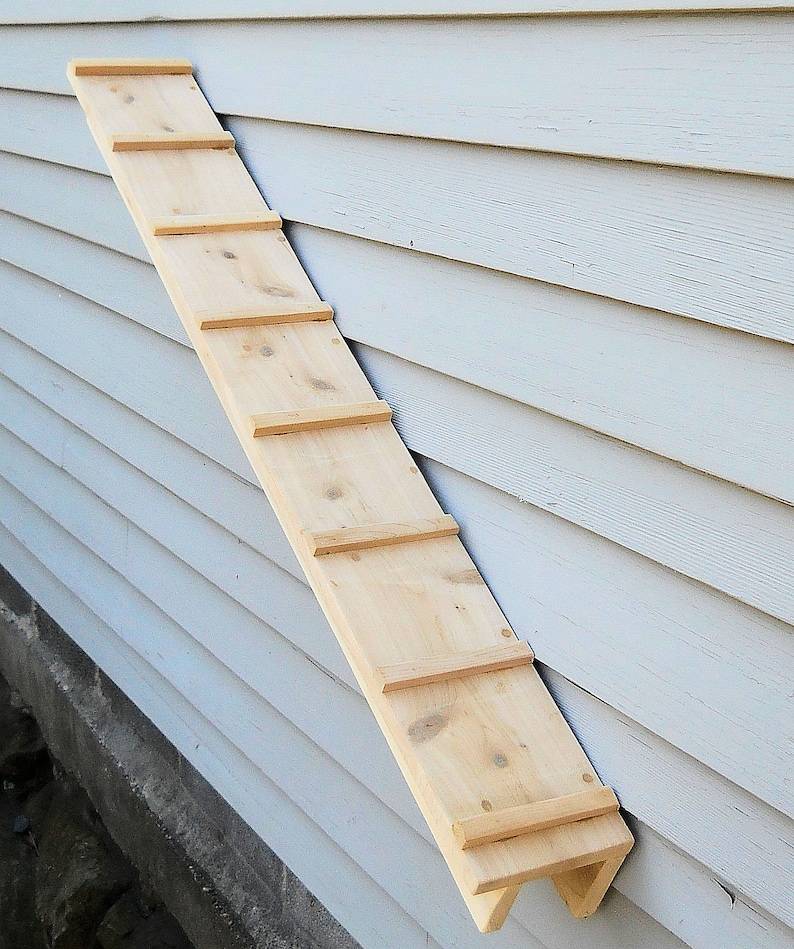 Cedar Cat Climbing Ramp, Wall Mounted or Standard, 44