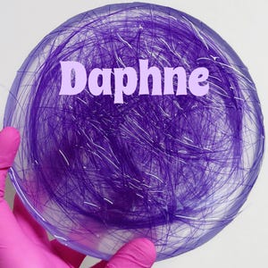 Large Pully Pad, “Daphne” Fidget for Trichotillomania, Dermatillomania, Autism, ADHD