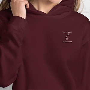 Palestine embroidered hoodie, Long Live Free Palestine hoodie, Palestine Flag hoodie, Stand With Palestine Shirt, Gaza Unisex,Palestine Gift