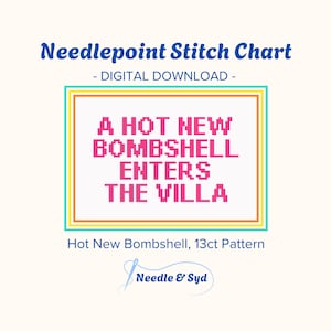 May include: A needlepoint stitch chart digital download featuring the text A HOT NEW BOMBSHELL ENTERS THE VILLA in pink pixelated font inside a rectangular frame with yellow, orange, and teal borders. The text Needle & Syd is at the bottom.