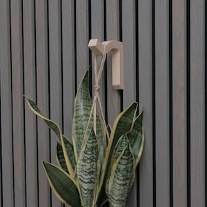 May include: A snake plant with variegated green and yellow leaves potted in a matte black container, suspended by a natural fiber macrame hanger from a light-colored wooden wall hook. The plant features upright, sword-shaped foliage.