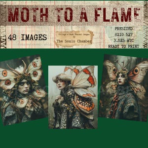 Puede incluir: Impresión artística digital con tres imágenes de figuras adornadas con alas de mariposa y elaborados disfraces. El texto "Moth to a Flame" se muestra arriba, junto con "48 Images" y otro texto que indica que el producto está listo para imprimir.