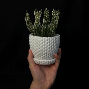 Unique 3D Printed Planter | Made in Germany | Modern Eco-Friendly Plant Pot | Small to Medium Plants  |  Spessart Planter