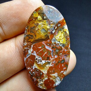 Può includere: Una gemma ovale con una vibrante miscela di colori. La pietra presenta una base di rosso intenso e marrone, accentuata da macchie di giallo, bianco e grigio. Il motivo ricorda un paesaggio naturale, con venature e texture intricate.