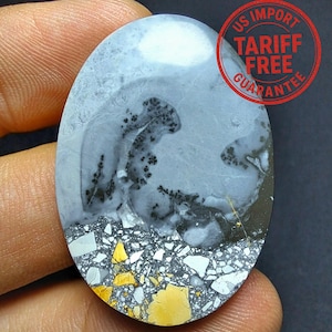 May include: An oval-shaped cabochon gemstone featuring a smooth, light grey surface with dark, fern-like dendritic inclusions and a textured base of white and yellow mineral fragments. A red circular stamp reads US IMPORT TARIFF FREE GUARANTEE.
