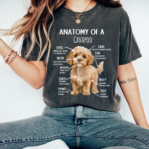 May include: A black t-shirt with a white graphic of a brown and white Cavapoo dog. The graphic includes a humorous anatomical diagram of the dog with labels for its eyes, nose, mouth, chest, paws, belly, legs, ears, and tail.