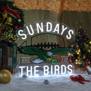 Może przedstawiać: Biały neonowy znak z napisem "Sundays Are For The Birds" i zielonym orłem trzymającym piłkę nożną w szponach.