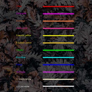 May include: A chart with 12 color swatches, each labeled with a color name. The colors are red, hot pink, orange, baby pink, lemon yellow, golden yellow, green, ice blue, blue, purple, warm white, and cold white.