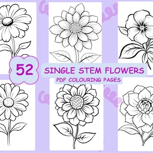 May include: 52 single stem flower coloring pages. Black and white line drawings of various flowers with stems and leaves.  PDF coloring pages.