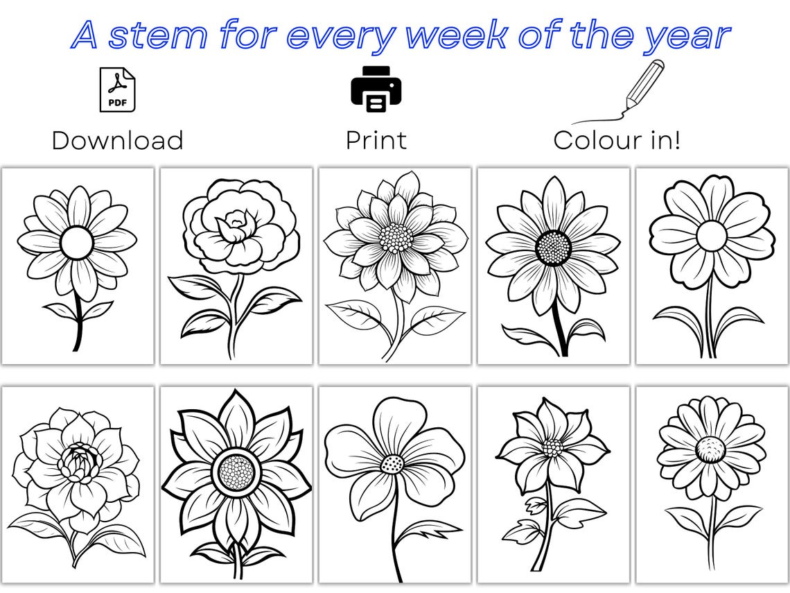 52 Flower Coloring Pages: Bold & Easy Single Stem Designs (PDF ...