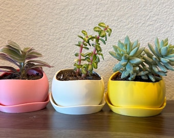 Set of 3 Mini Planters with Drainage & Tray – Small Succulent Pots – Desk Planters for Home Décor Gifts