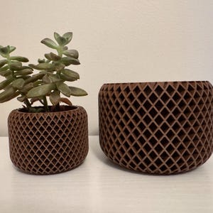 May include: Two brown, diamond-patterned planters. One contains a green succulent plant. The planters are made of a dark brown material and have a geometric design. The planters are on a white surface.