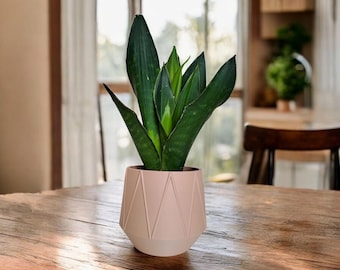 Geometric Planter: Modern 3D Printed Plant Pot, Minimalist Decor