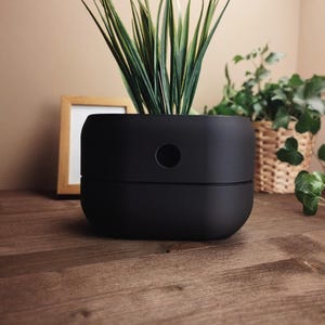 May include: A black ceramic planter with a drainage hole, holding a green potted plant with long, thin leaves. The planter is sitting on a wooden surface.