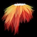 see more listings in the Tutus section