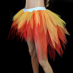 Plus Size Fire Tutu: Devil Phoenix Costume, Longer Back